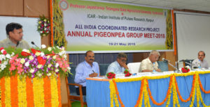 All India Coordinated Research Project on Pigeonpea Annual Group Meet begins at PJTSAU (3)