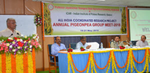 All India Coordinated Research Project on Pigeonpea Annual Group Meet begins at PJTSAU (4)