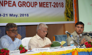 All India Coordinated Research Project on Pigeonpea Annual Group Meet begins at PJTSAU (6)