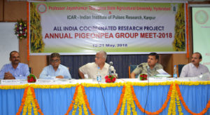 All India Coordinated Research Project on Pigeonpea Annual Group Meet begins at PJTSAU (7)