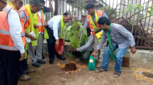 Haritha Haram in GHMC Area (1)