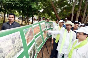 CM KCR Launch Massive one lakh plus Plantation Program as part of fourth phase of Haritha Haram (18)