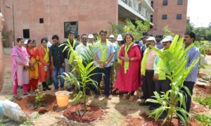 Planting Day Celebrations in ULBs, TELANGANA KU HARITHA HARAM ON (3)