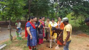 Haritha Haram by TS IFSOWA Members (2)