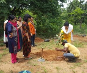 Haritha Haram by TS IFSOWA Members (4)