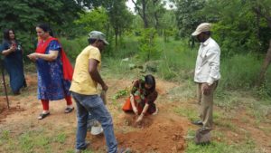 Haritha Haram by TS IFSOWA Members (5)