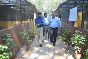 Telangana Chief Secretary Visits Nehru Zoological Park, Hyderabad (7)