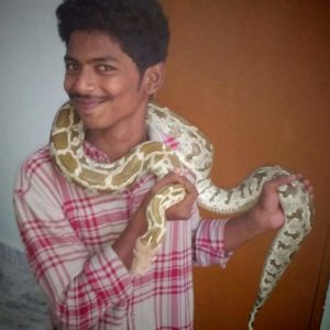 Anti-Poaching Squad Rescues Python & Bronze Back Snake (1)