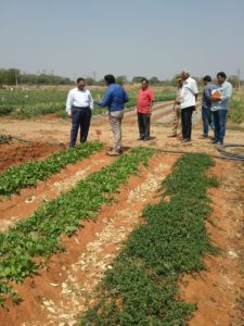 Prl. Secretary Agriculture Department Visited Farms to see Good Agricultural Practices Adopted by Farmer (2)