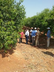 Prl. Secretary Agriculture Department Visited Farms to see Good Agricultural Practices Adopted by Farmer (3)