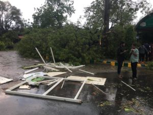 Major Rain Caused Inconvenience to Zoo Visitors, Restoration Works is On at Nehru zoological park, Hyderabad (5)