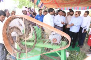 Free Feed Distribution to Shepherds of Sheep Rearing Development Scheme (3)