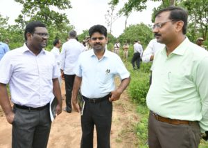 singaipally forest (12)