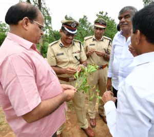 singaipally forest (13)