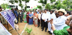 singaipally forest (15)