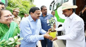 singaipally forest (20)