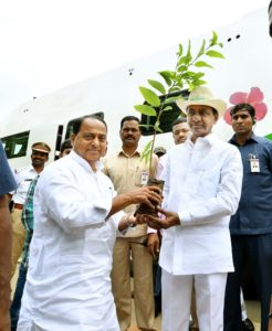 singaipally forest (21)