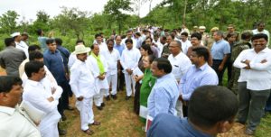 singaipally forest (4)