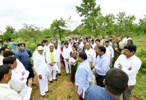 singaipally forest (5)