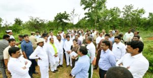 singaipally forest (7)