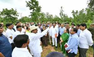 singaipally forest (8)