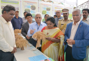 Hon’ble Governor Dr.Tamilisai Visits PJTSAU (5)