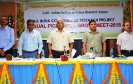 All India Coordinated Research Project on Pigeonpea Annual Group Meet begins at PJTSAU