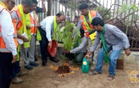 Haritha Haram in GHMC Area