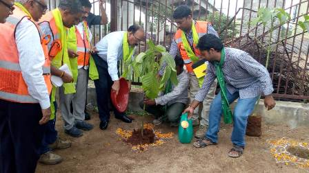 Haritha Haram in GHMC Area