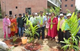 Planting Day Celebrations in ULBs, TELANGANA KU HARITHA HARAM