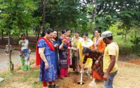 Haritha Haram by TS IFSOWA Members