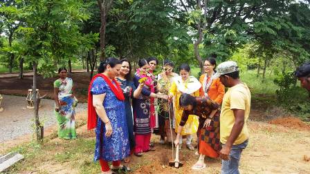 Haritha Haram by TS IFSOWA Members