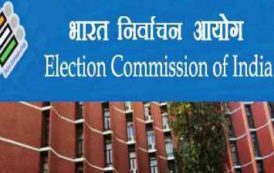 Election Commission: No Specific Colour to All-women Polling Stations