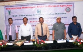 Brain Storming workshop on AICRP on Women in Agriculture, PJTSAU