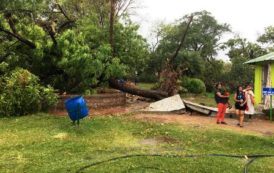 Major Rain Caused Inconvenience to Zoo Visitors, Restoration Works is On at Nehru zoological park