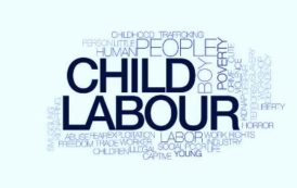 Documentary film Contest on Awareness about Child Labour Awareness Campaign