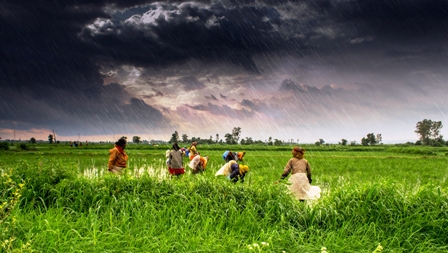 Farmers Group Life Insurance Scheme (Rythu Bima)