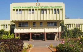 PJTSAU Ranked No. 1 Agricultural University in South India