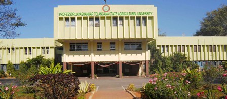 PJTSAU Ranked No. 1 Agricultural University in South India