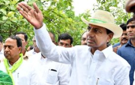 CM KCR Directs Collectors to Prepare Plan for Revival of Forests