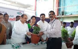 Minister for Home Distributed Bathukamma Sarees