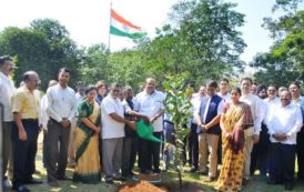 Chief Secretary Participates Haritha Haram Programme as Part of CM KCR Birthday Celebrations