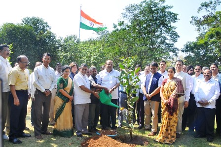 Chief Secretary Participates Haritha Haram Programme as Part of CM KCR Birthday Celebrations