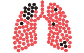 TB Status of Hyderabad District