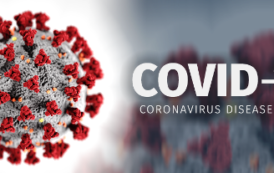 Bulletin on Novel Corona Virus (COVID-19) Date 1.06.2020