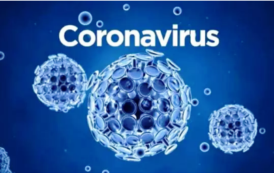 Bulletin on Novel Corona Virus (COVID-19) Date 12.11.2022
