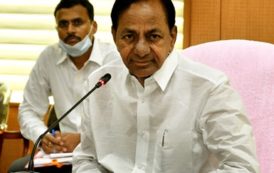 CM KCR Says All Precautions Taken to Avert Entry of Swarms of Locust Entering State
